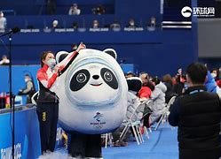 瑞士队在客场比赛中拼尽全力，赢得关键胜利的简单介绍